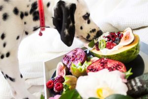 25-dog-food