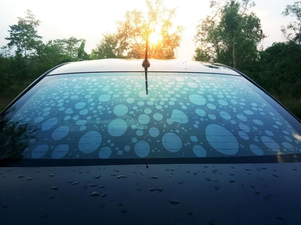 window+tint+replacement-1920w