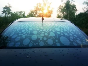 window+tint+replacement-1920w