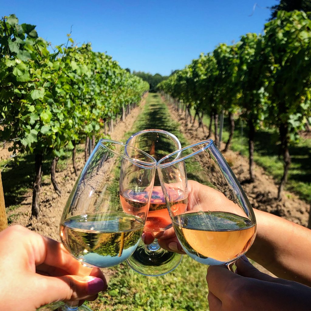 wine-in-vineyard